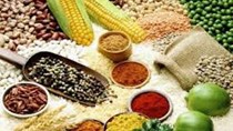 Thị trường NL TĂCN thế giới ngày 20/6: Giá ngũ cốc giảm do hoạt động chốt lời 
