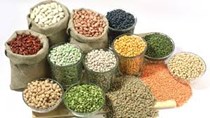 Giá ngô, lúa mì, đậu tương giảm do bỏ phiếu Anh rời khỏi EU
