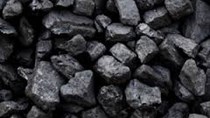 Giá than đá thị trường thế giới tăng do sản lượng cắt giảm 