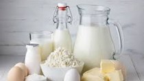 Sản lượng sữa Mỹ trong tháng 8/2016 tăng 1,9%