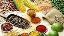 Thị trường NL TĂCN thế giới ngày 5/7: Giá lúa mì, ngô, đậu tương tại Mỹ tăng 