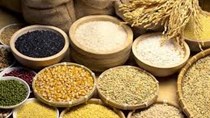 Trung Quốc sẽ bãi bỏ thuế VAT đối với nhập khẩu ngũ cốc sấy khô (DDGS)