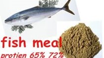 Thị trường bột cá ảm đạm vì sản lượng cao, dịch ASF và hàng tồn kho lớn 
