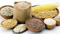 Tóm lược tình hình thị trường TĂCN & NL thế giới tháng 6/2020 và dự báo tháng 7