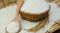 USDA: Dự báo cung cầu gạo thế giới niên vụ 2020/21