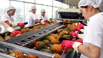 Đẩy mạnh xuất khẩu nông sản qua đường hàng không