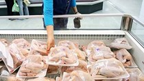 Chưa phát hiện đùi gà Mỹ giá 1 USD bán ở Việt Nam