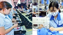 Xuất khẩu của Việt Nam sang EU sẽ tăng 30-40% hậu FTA