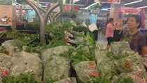 Rau, quả Việt Nam chiếm lĩnh thị trường nội địa