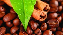 Indonesia: Xuất khẩu cà phê Robusta tăng 15% trong tháng 1/2014