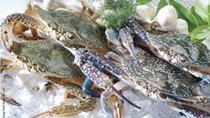 Đài Loan: Thị trường mới nhiều triển vọng của cua ghẹ Việt Nam
