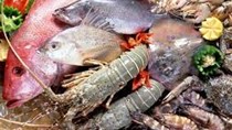 Mỹ: Doanh số hải sản dự kiến tăng trong lễ Lent