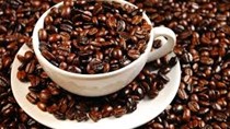 Xuất khẩu cà phê của Việt Nam trong tháng 1/2015 dự báo đạt 150.000 tấn