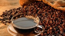 Dự báo xuất khẩu cà phê của Việt Nam tháng 2/2015 giảm