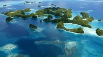 Palau: Lệnh cấm khai thác thương mại gây khó cho cho ngành cá ngừ