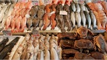 Các nhà kinh doanh thủy sản Trung Quốc gặp khó
