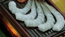 Giá tôm trên thị trường châu Âu ít biến động