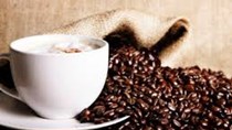 Thị trường cà phê ngày 03/6: tăng thêm 500 đồng/kg