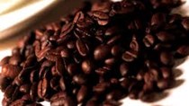 Thị trường cà phê ngày 02/6: Giá tăng mạnh 1.200 đồng/kg