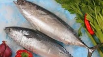 Giá cá ngừ tăng mạnh do lệnh cấm sử dụng FAD