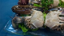 Giá ghẹ xanh vượt trần sau bão ở Châu Á