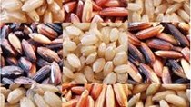 Trung Quốc giảm nhập khẩu gạo xuống 2,24 triệu tấn năm 2013