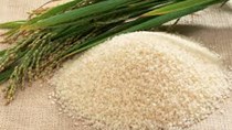 TT gạo châu Á tuần tới 16/1: Giá gạo Thái giảm bởi nông dân bán mạnh