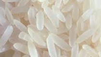 FAO ước tính sản lượng gạo trắng toàn cầu năm 2014 đạt 503 triệu tấn, tăng 1,2%