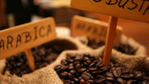 Thị trường cà phê, cacao ngày 18/11: Arabica giảm giá
