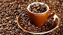 Thị trường cà phê ngày 7/4: arabica tăng lên mức cao 6 tuần