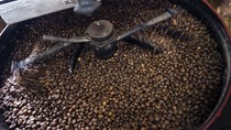Giá cà phê Việt Nam giảm, giao dịch chậm trước Tết