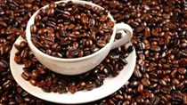 Giá cà phê Việt Nam tăng, xuất khẩu tăng trong tháng 1
