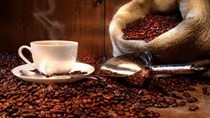 TT cà phê châu Á: giá giảm hạn chế Việt Nam bán ra