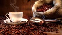 Cà phê arabica giảm, cacao ở dưới mức cao ba năm