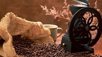 Giá cà phê Việt Nam tăng, có hiện tượng trì hoãn xuất khẩu