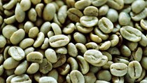 ICO: Xuất khẩu cà phê của Việt Nam bằng một nửa Brazil