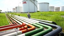 Nhiều yếu tố gây sức ép lên thị trường xăng dầu cuối năm