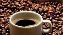Giá cà phê Tây Nguyên giảm