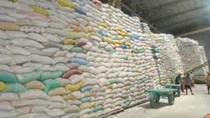 FAO: Mậu dịch gạo thế giới chắc chắn tăng 5%