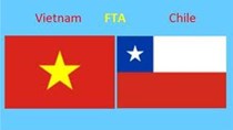 Trao đổi thương mại Việt Nam- Chi Lê 10 tháng đầu năm 2013