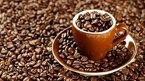 Thị trường cà phê tuần từ 11-16/2