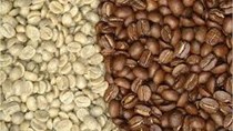 Gía cà phê trên sàn giao dịch châu Á giữ mức cộng ổn định, cà phê  Indonesian có chất lượng kém