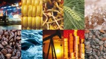 Hàng hóa thế giới sáng 25-12: Khí gas giảm, lúa mì tăng