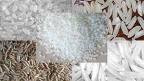 USDA giảm dự báo về xuất khẩu gạo Thái Lan xuống 8 triệu tấn