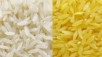 TT gạo châu Á tuần 17-24/10: Giá gạo VN cao kỷ lục 14 tuần, Thái Lan chật vật bán