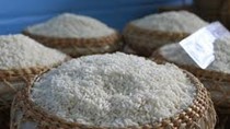 TT gạo châu Á 3-10/4: Giá gạo Việt nam giảm, nhu cầu thấp