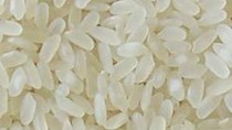 FAO: Chỉ số giá gạo toàn cầu tăng 2,9% từ đầu năm