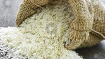 Thông tin lúa gạo thế giới ngày 25-10