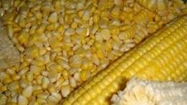 Ước tính sản lượng  ngô, đậu tương của Brazil năm 2012/13 tăng nhẹ