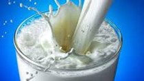 Chi phí sữa toàn cầu giảm xuống mức thấp nhất 5 năm do sản lượng cao kỷ lục